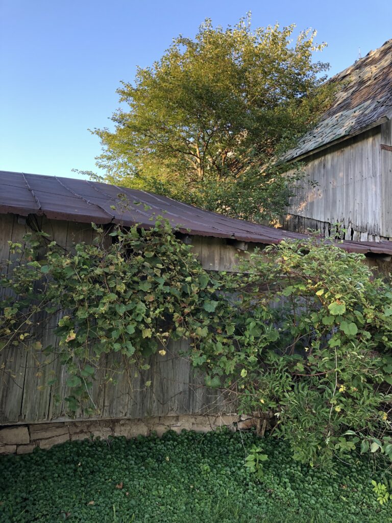 The actual 1872 barn