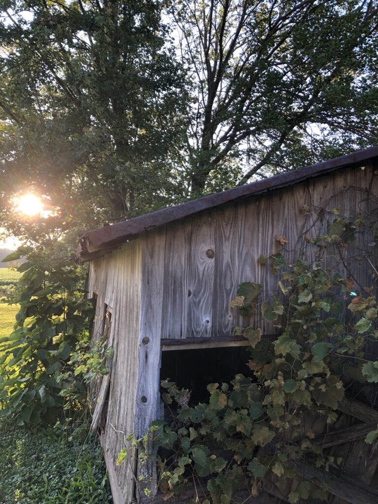 The actual 1872 barn